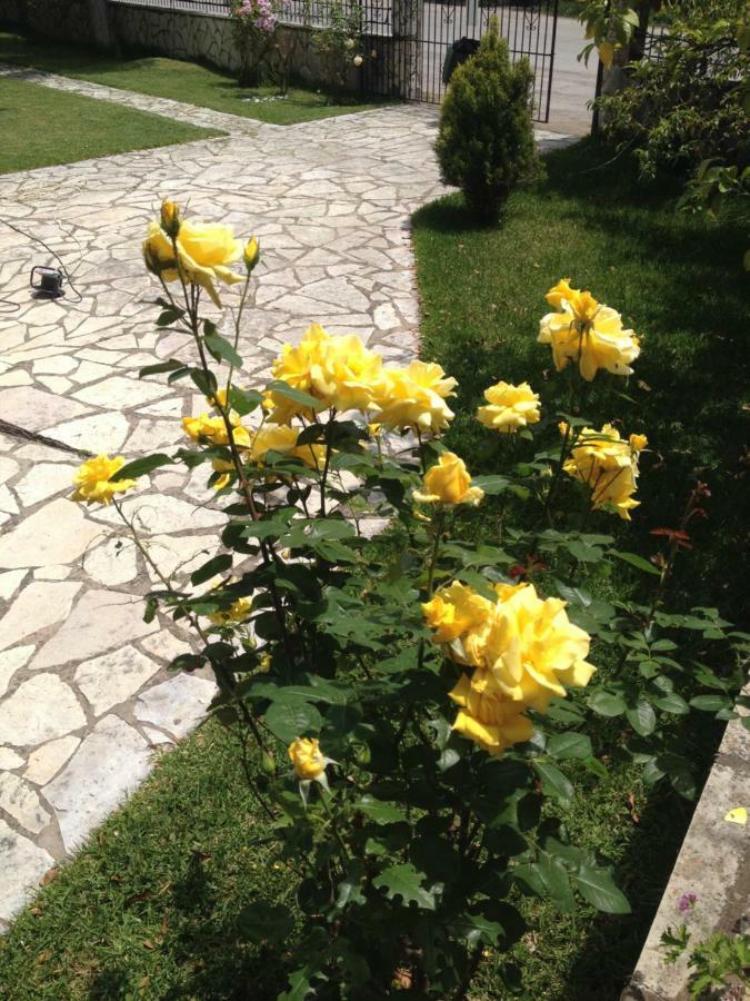 Dimitra Studios Nidri מראה חיצוני תמונה
